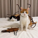 Cockroach-Inspired Cat Costume with Matching Collar