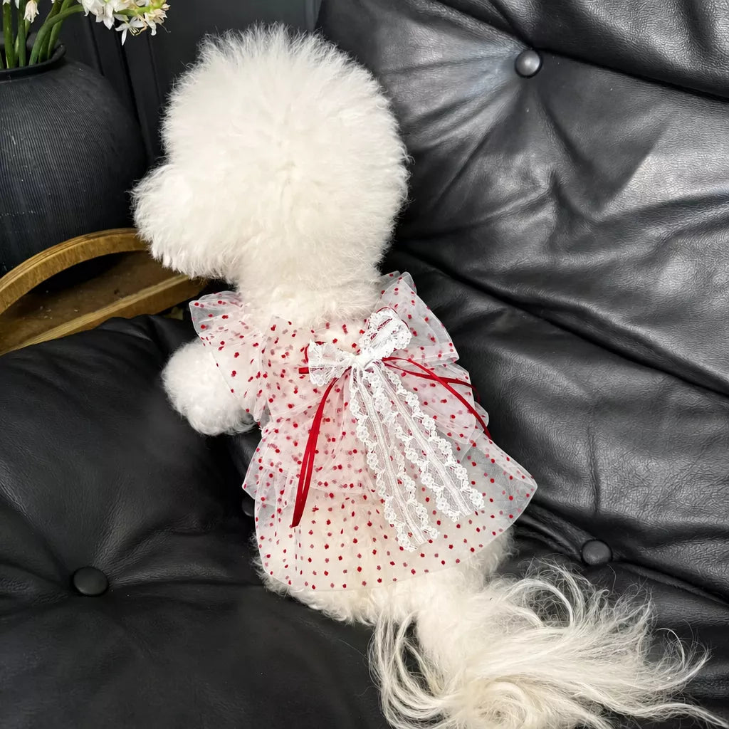 Red Polka-Dot Pet Dress with Leash Ring for Dogs and Cats