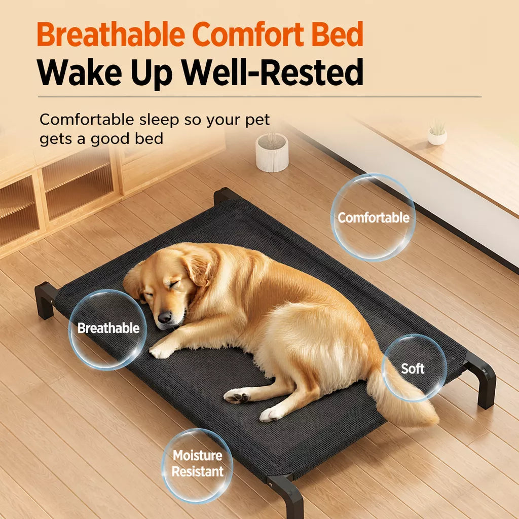 Raised Mesh Dog Cot with Iron Frame for Small to Large Dogs