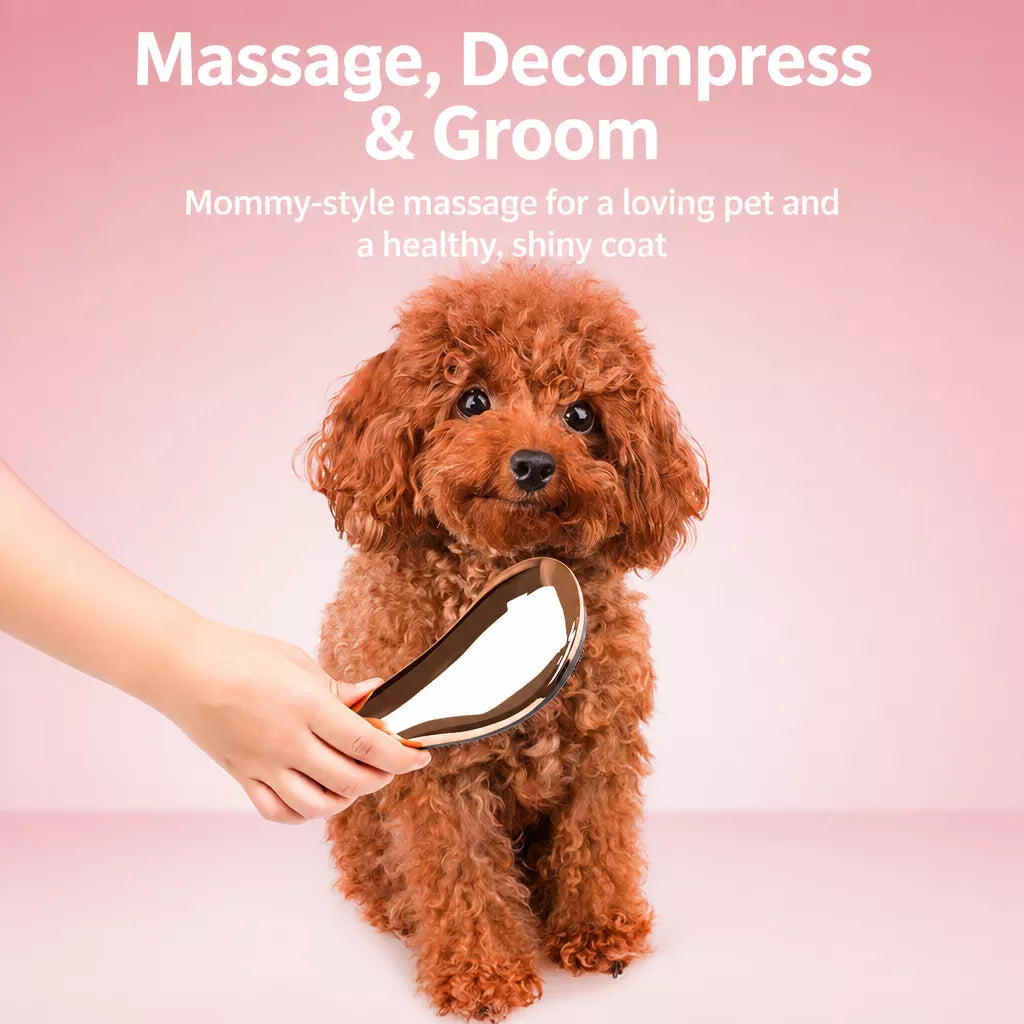 Pet Coat Grooming Brush for Small Dogs