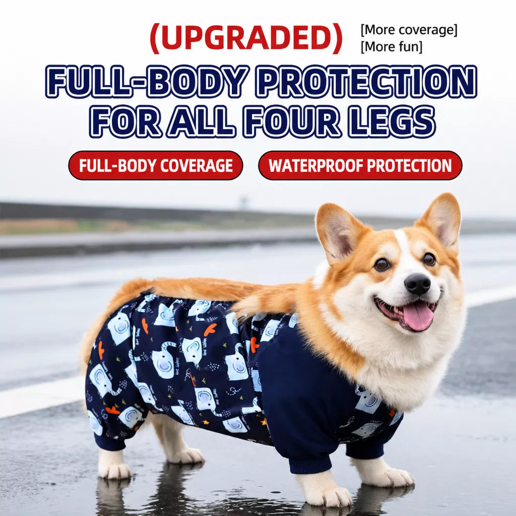 Dog Outdoor Rainwear