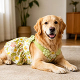 Summer Dog Dress with Shoulder Straps for Medium to Large Dogs
