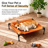 Raised Dog Cot Bed with Iron Frame