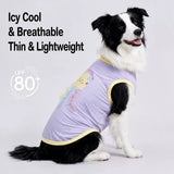 Lightweight Summer Outdoor Vest for Dogs