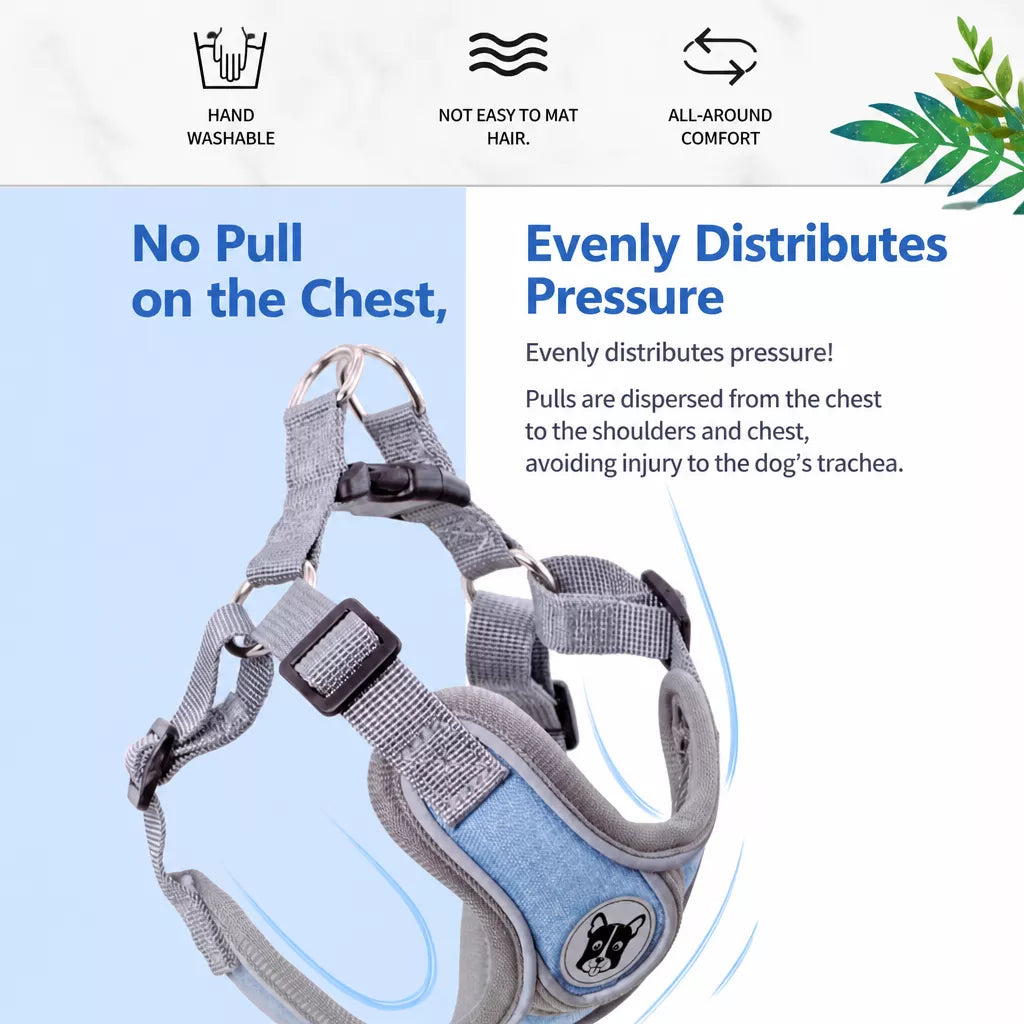 Dog Harness and Leash Set for Small to Medium Dogs