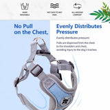 Dog Harness and Leash Set for Small to Medium Dogs
