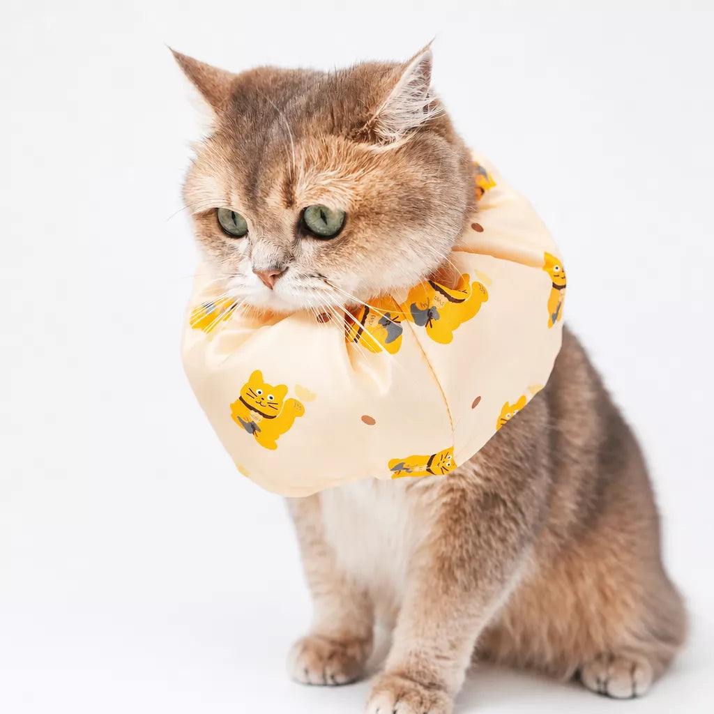 Adjustable Cat & Dog Cone Collar with Maneki-Neko Print