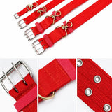 Nylon Dog Collar for Small to Large Dogs