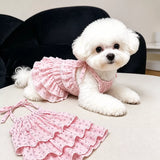 Cotton Pet Dress with Tiered Skirt