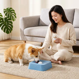 Pet Slow Feeder Bowl with Lick Ball and Water Dish