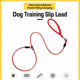 Steel Wire Dog Training Leash