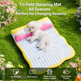 Foldable Cotton Pet Bed with Bolster Sides for Dogs and Cats