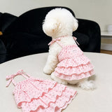 Cotton Pet Dress with Tiered Skirt