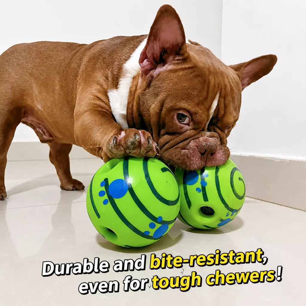 Interactive Squeaky Ball Dog Toy