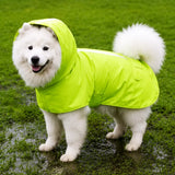 Dog Raincoat for Rainy-Day Walks