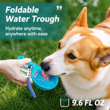 Portable Foldable Dog Water Bottle for Walks and Travel