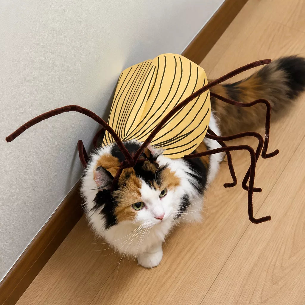 Cockroach-Inspired Cat Costume with Matching Collar