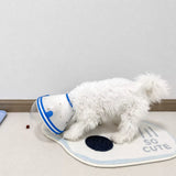 Adjustable Plastic Recovery Cone for Dogs | Elizabethan Collar