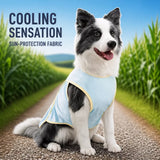 Lightweight Polyester Vest for Medium and Large Dogs