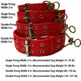 Nylon Dog Collar for Small to Large Dogs