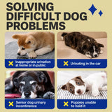 Disposable Pull-On Dog Diapers for Male and Female Dogs