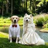 Formal Dress for Large Dogs
