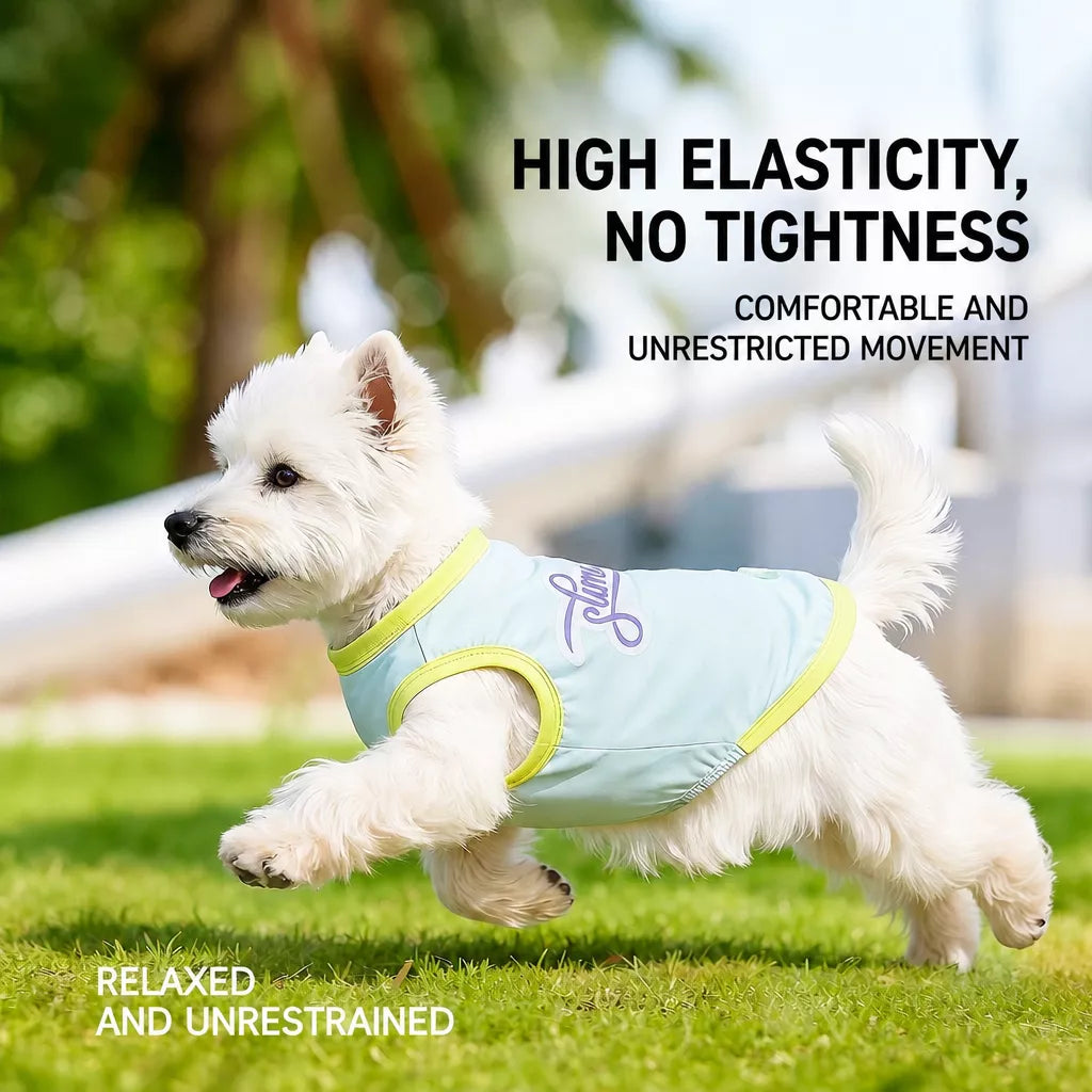 Lightweight Summer Dog Vest