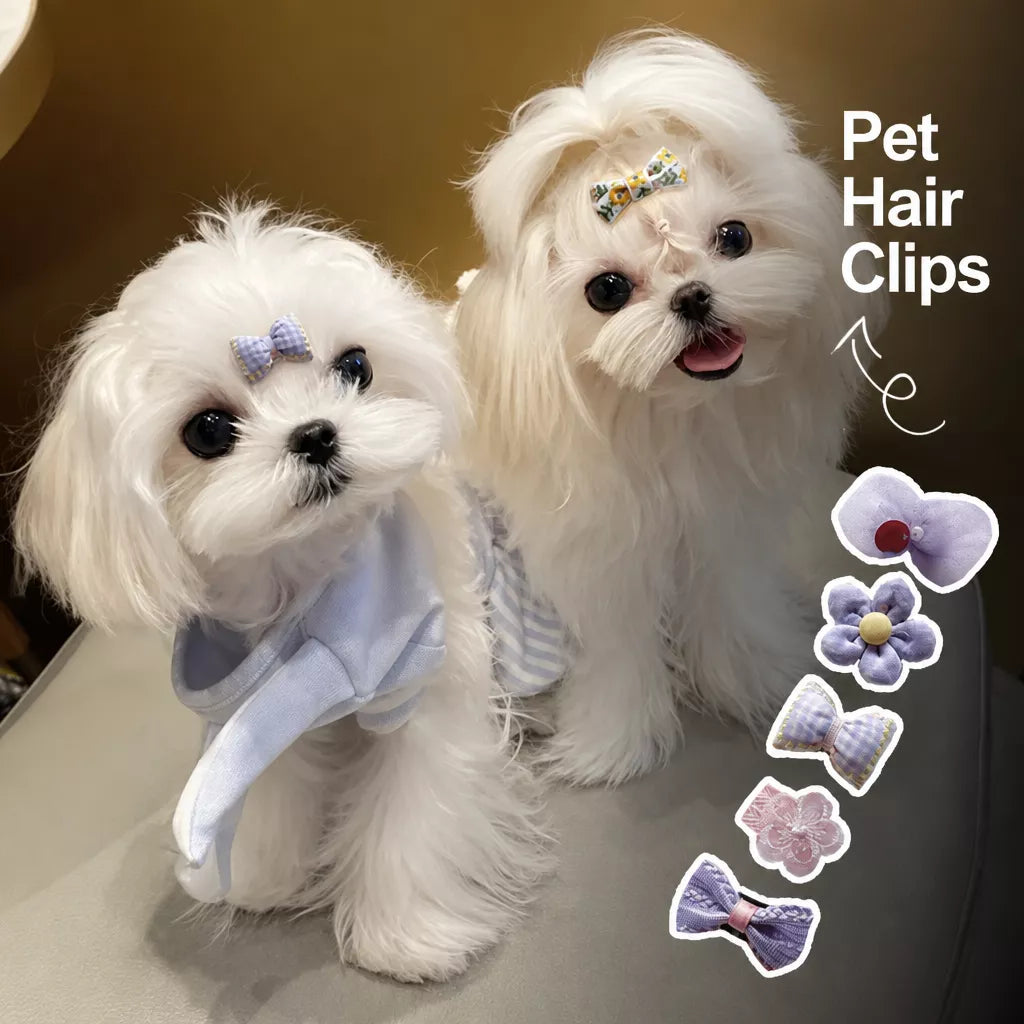 Pet Bow Hair Clips for Dogs and Cats