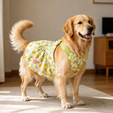 Summer Dog Dress with Shoulder Straps for Medium to Large Dogs