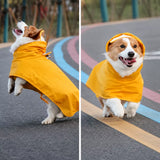 Dog Raincoat for Rainy-Day Walks