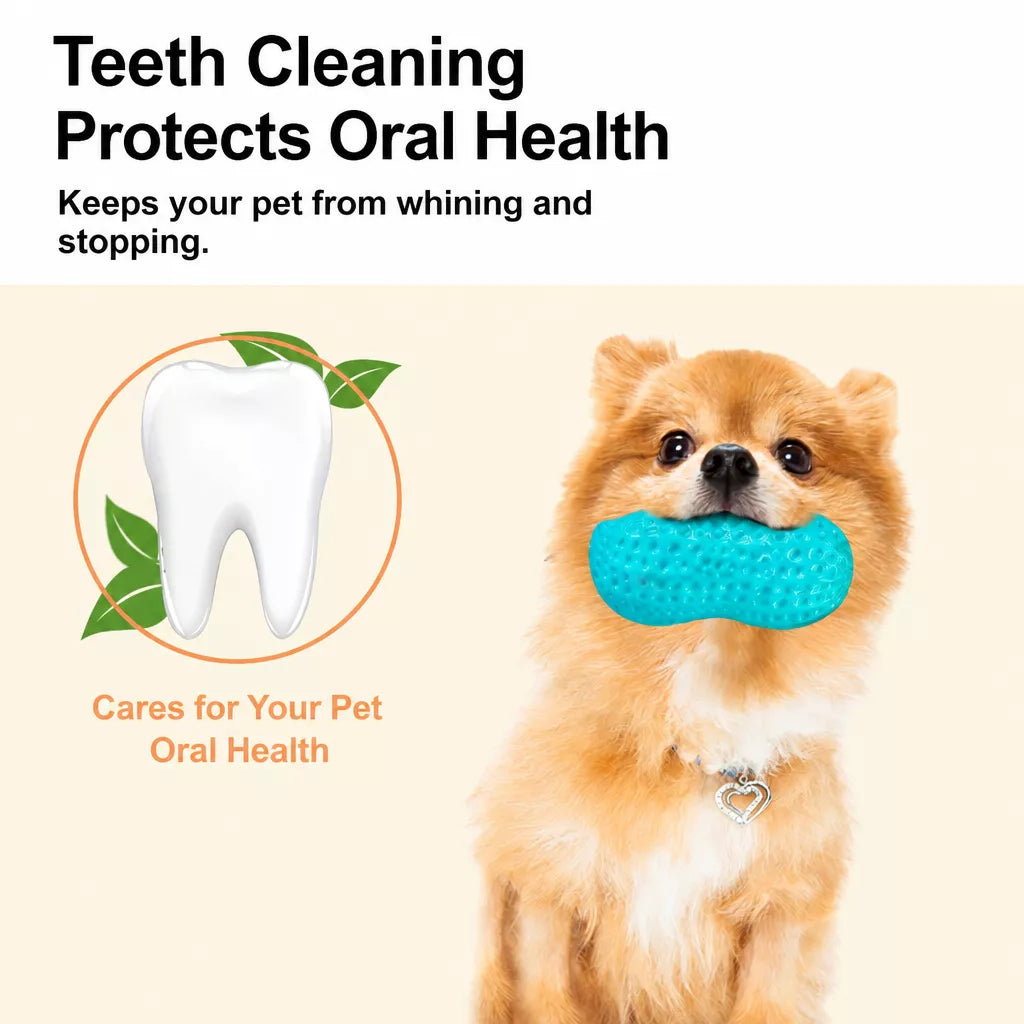 Squeaky Peanut-Shaped Dog Toy