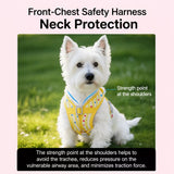 Vest-Style Harness and Leash Set for Small to Medium Dogs