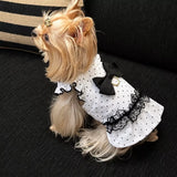 Polka Dot Flutter-Sleeve Pet Dress for Cats & Small Dogs