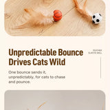 Cat Ball Toy with Feather Details