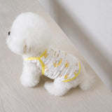 Lightweight Dog & Cat Vest