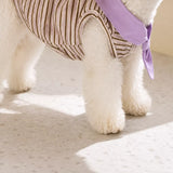 Striped Polo-Style Harness Vest for Small Dogs