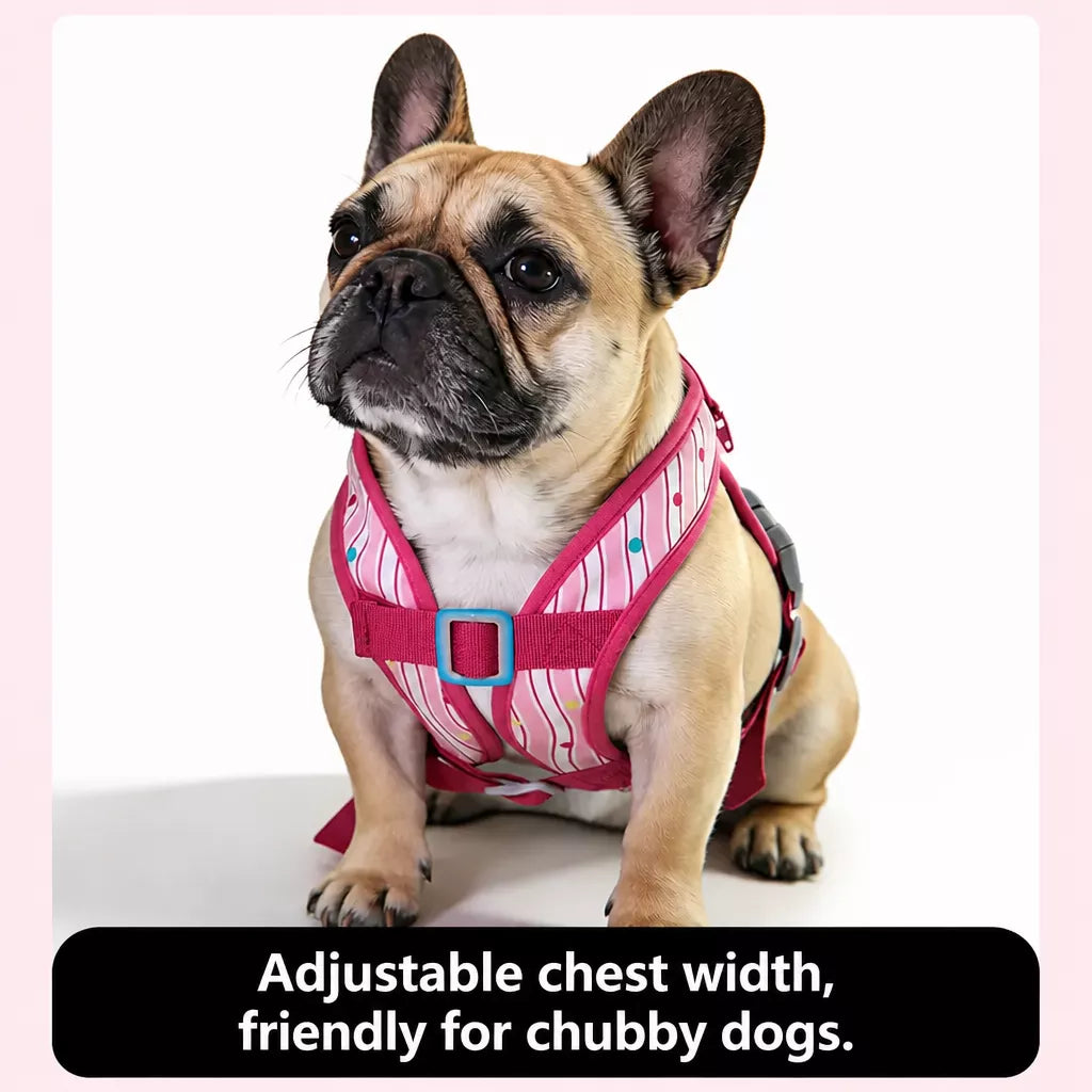 Vest-Style Harness and Leash Set for Small to Medium Dogs