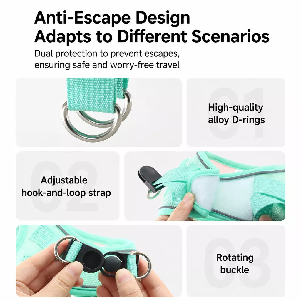 Nylon Dog & Cat Harness and Leash for Everyday Walks