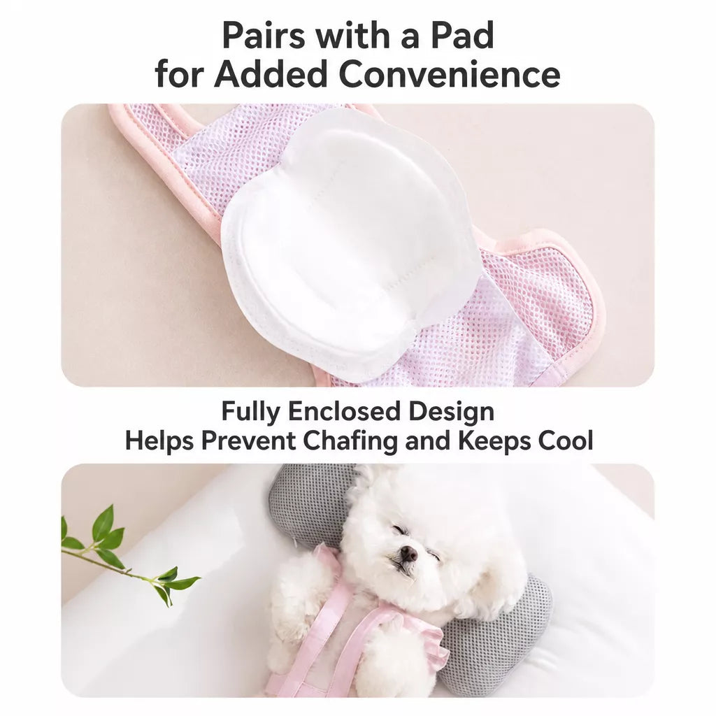 Female Dog Diaper Pants