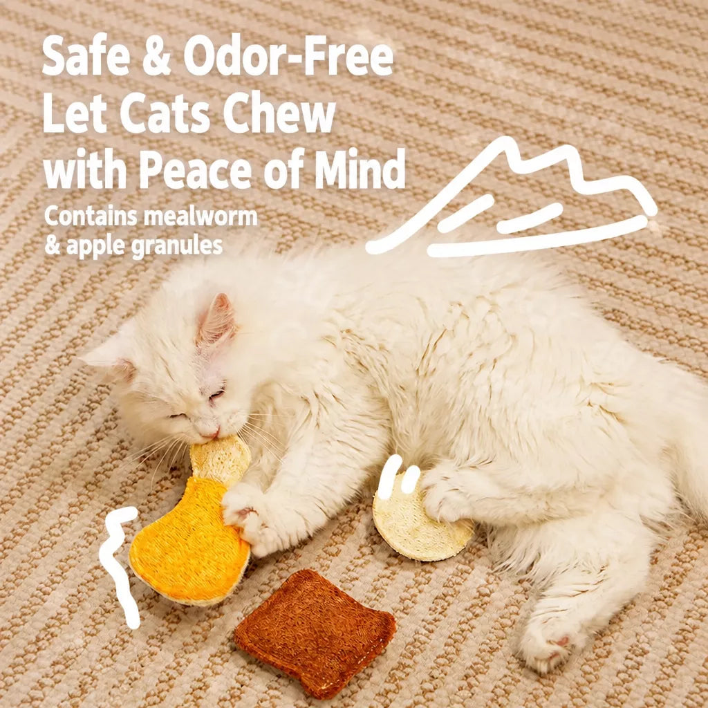 Cat Toy Collection with Natural Loofah and Catnip