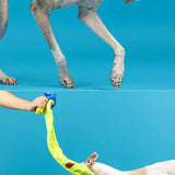Snail Snuffle Squeaky Dog Toy