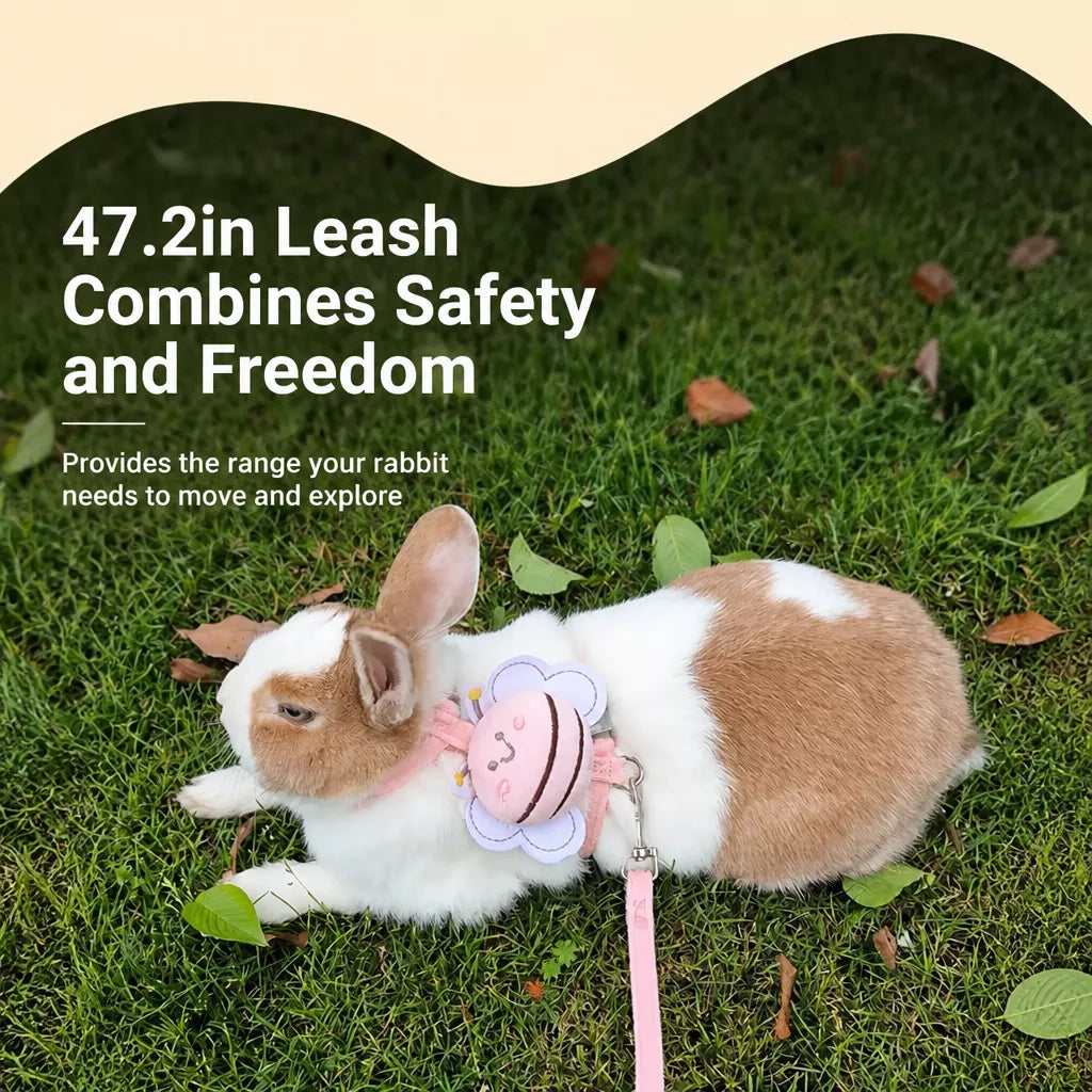 Nylon Rabbit Harness with Leash