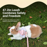 Nylon Rabbit Harness with Leash