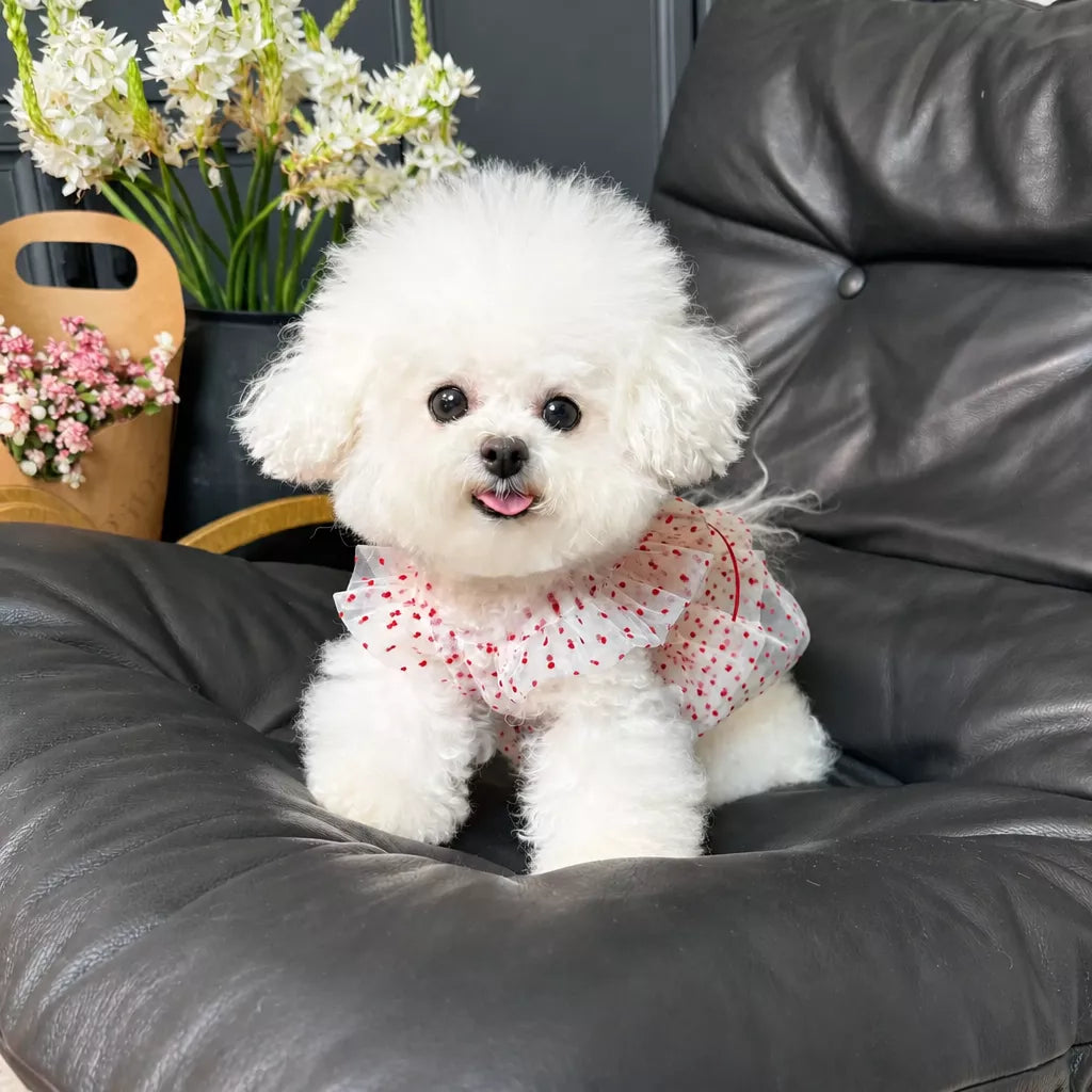 Red Polka-Dot Pet Dress with Leash Ring for Dogs and Cats