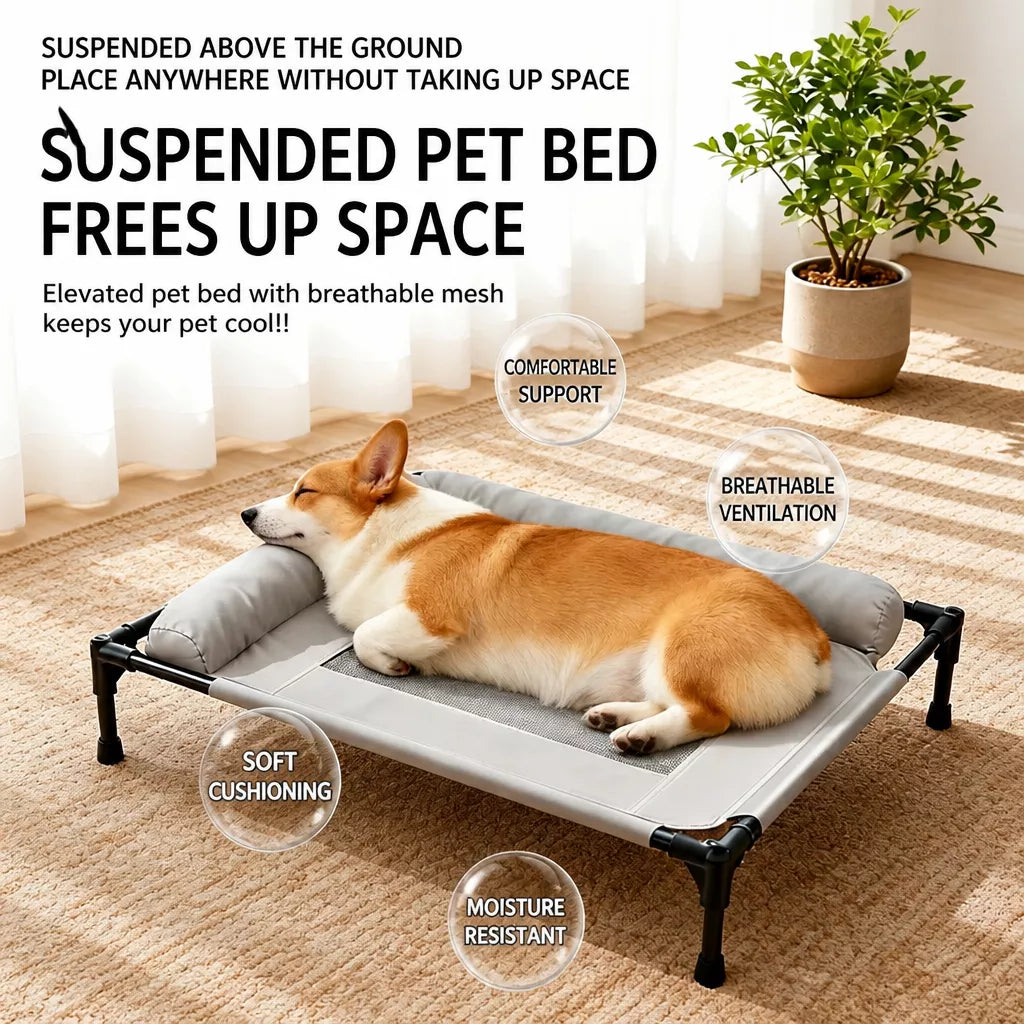 Raised Dog Cot Bed with Iron Frame