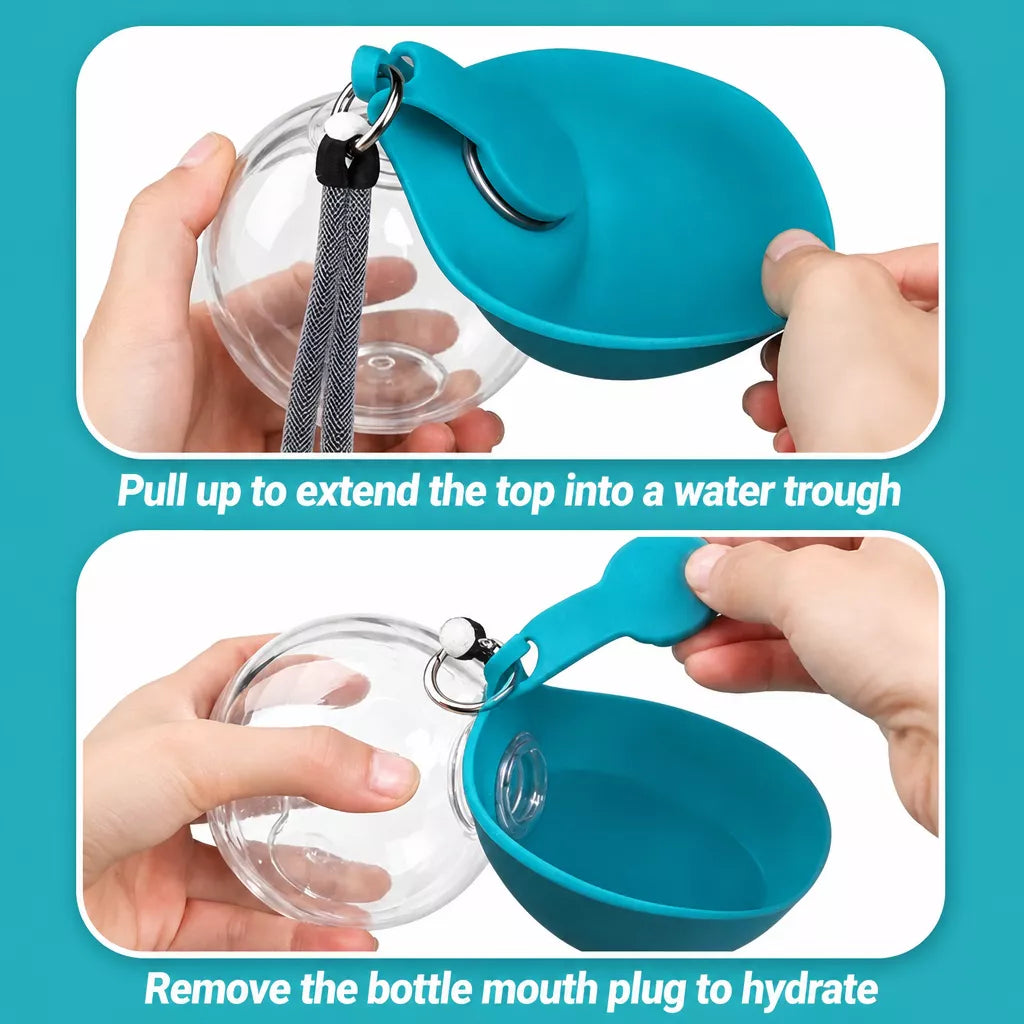 Portable Foldable Dog Water Bottle for Walks and Travel