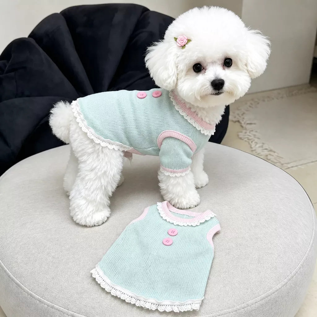 Pet Tank Tops and Strappy Dresses