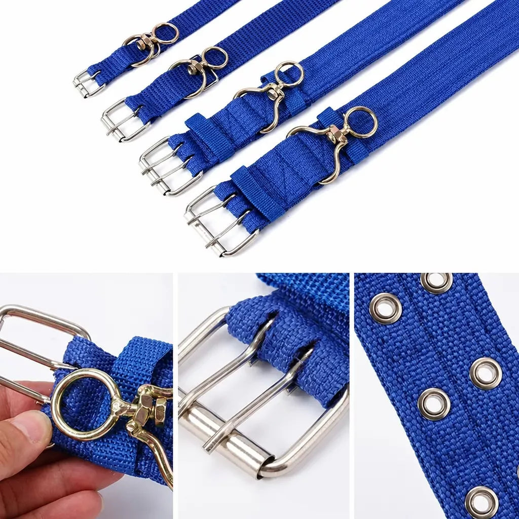 Nylon Dog Collar for Small to Large Dogs