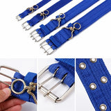 Nylon Dog Collar for Small to Large Dogs