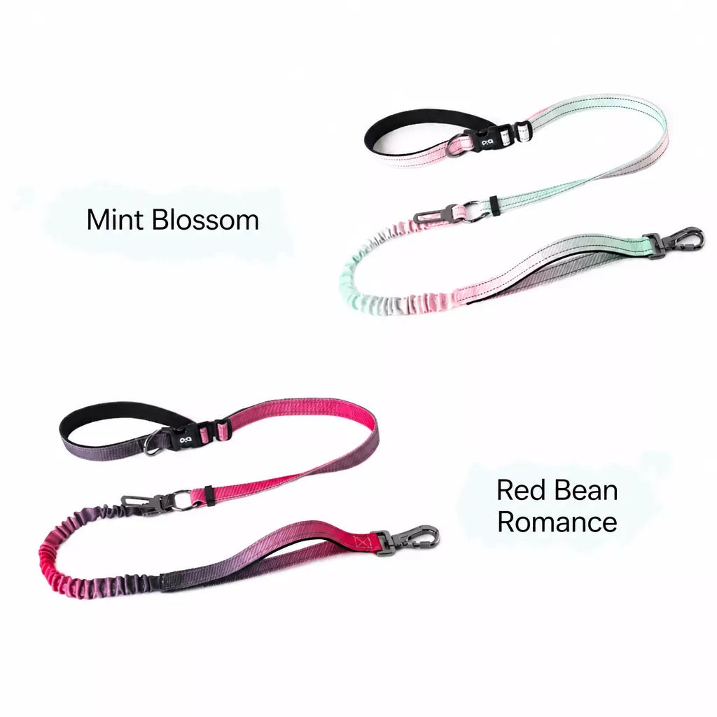 Crossbody Elastic Dog Leash